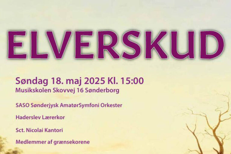 AmatørSymfoniorkester spiller forårskoncert i Musikskolens sal