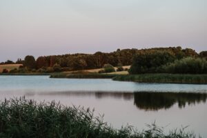 Økonomiudvalget skal finde penge til kystsikring og klimatilpasning