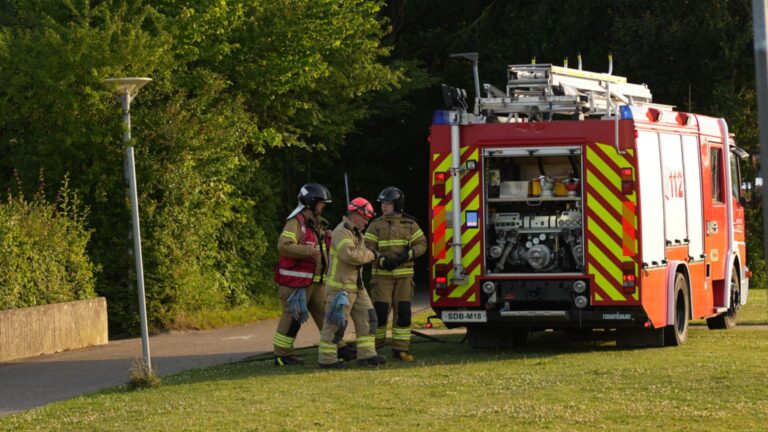 Mindre brand i en skov