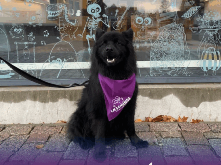 Læsehund hjælper børn som har mistet lysten til at læse