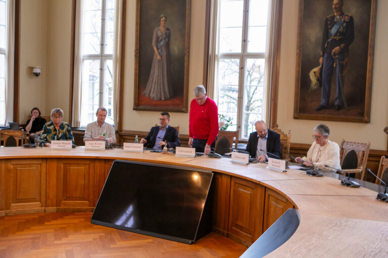 Konstitueringaftale hvor partierne kan se sig selv