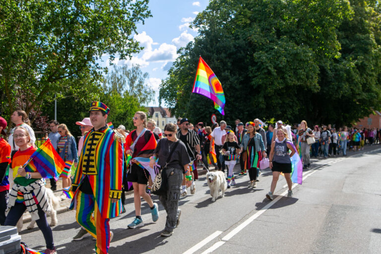 Bestyrelsesposterne i LGBTQ+ Sønderborg er fordelt