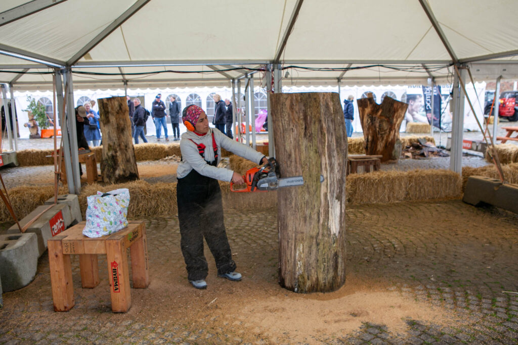 I Sønderborgområdet er der flere end 100 WoodSculpture-skulpturer
