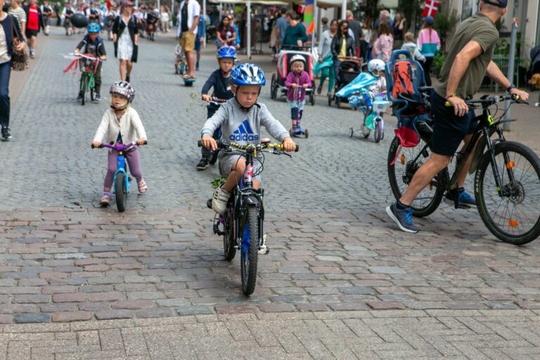 Husk at tilmelde Jer cykelringningen